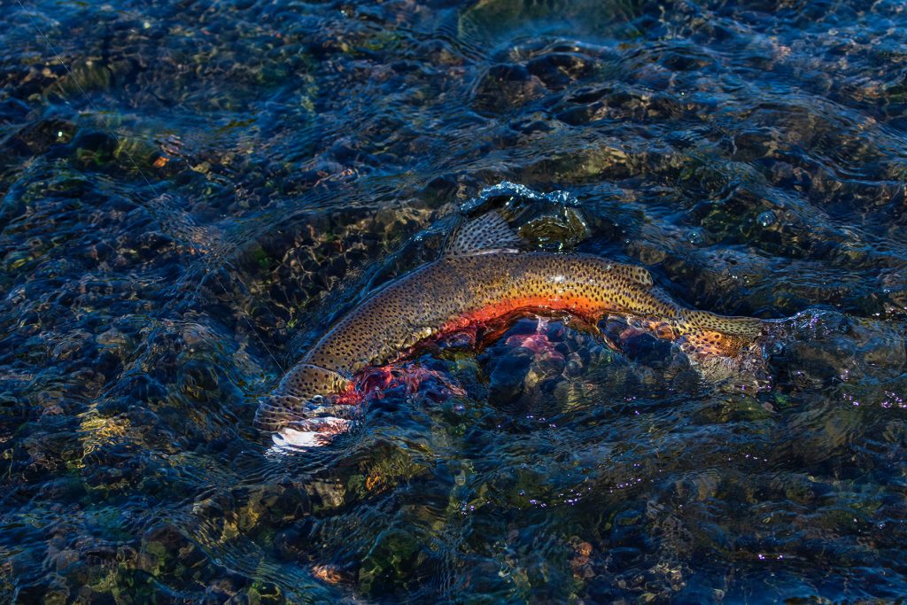 Missouri river guides